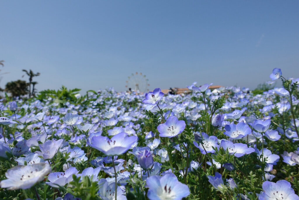 現在の画像に代替テキストがありません。ファイル名: e03b5e4a88a1f7b185180a499841209c.jpg