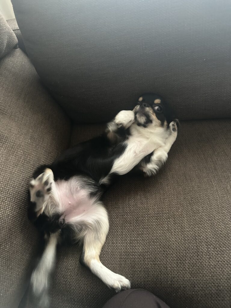 現在の画像に代替テキストがありません。ファイル名: 09bbc67ecb3712daf0966a96c43dfd95-scaled.jpeg