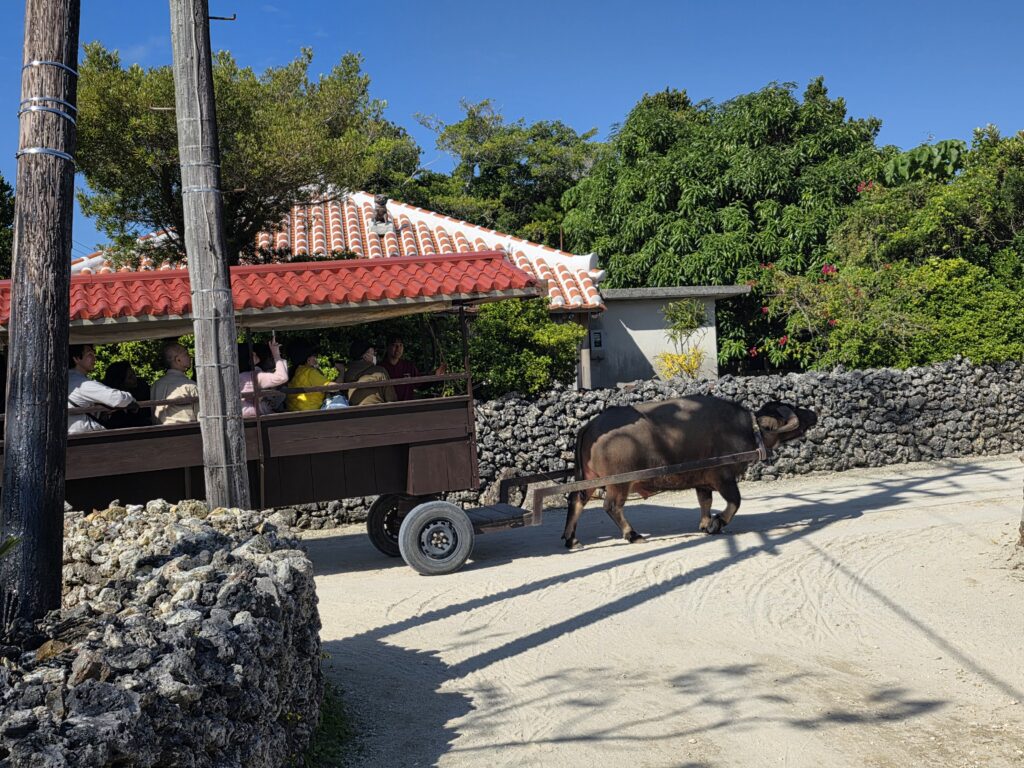 現在の画像に代替テキストがありません。ファイル名: 20260110_111854-scaled.jpg